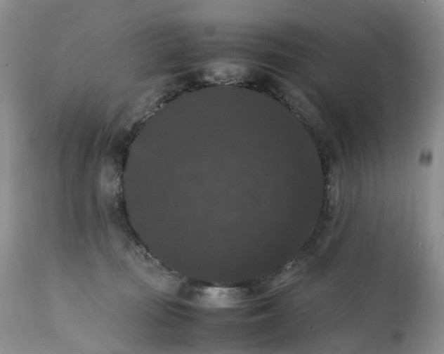 X0000111370371200907241251