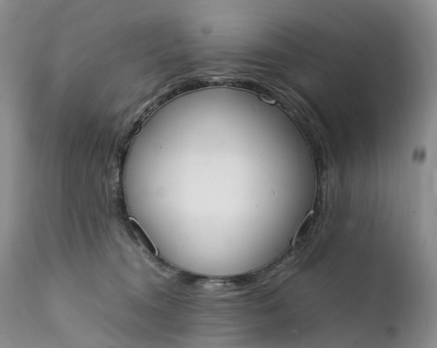 X0000111370372200907241251