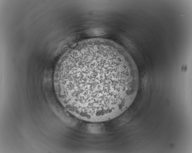 X0000111370373200907241251