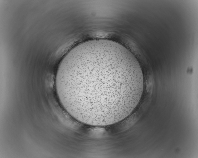 X0000111370374200907241251