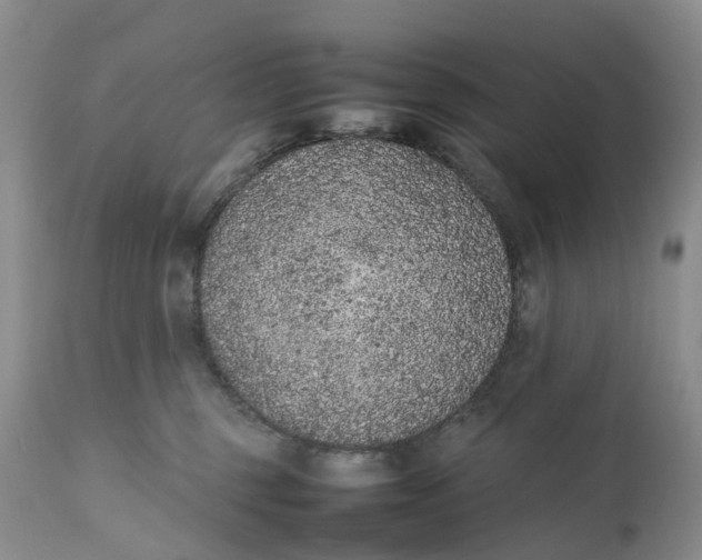 X0000111370375200907241251