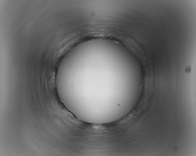 X0000111370376200907241251