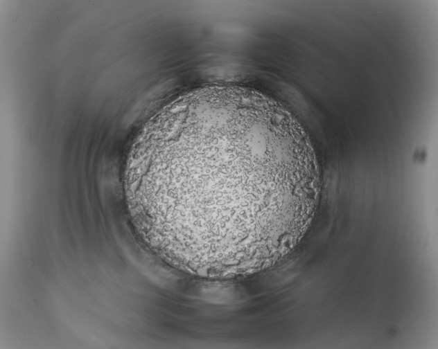 X0000111370377200907241251