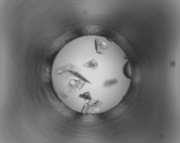 X0000111370378200907241251