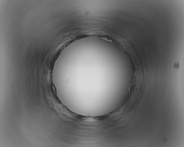 X0000111370380200907241251