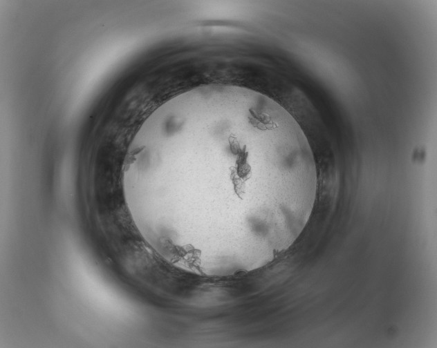 X0000111370381200907241251