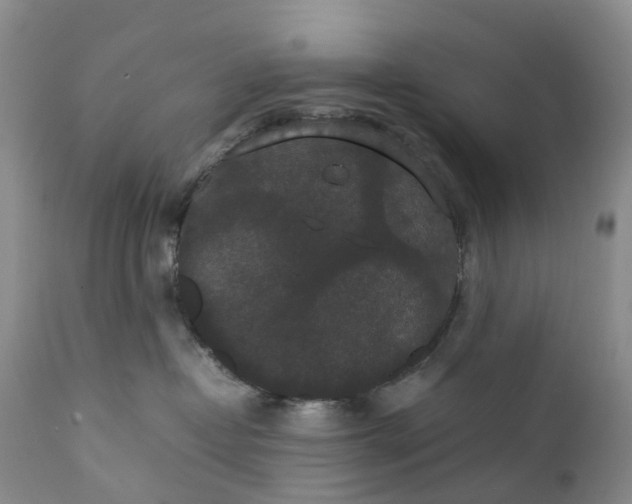 X0000111370382200907241251