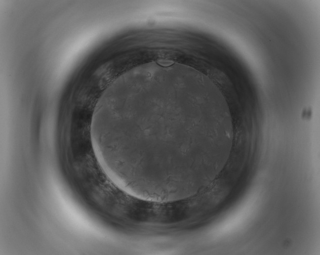 X0000111370383200907241251