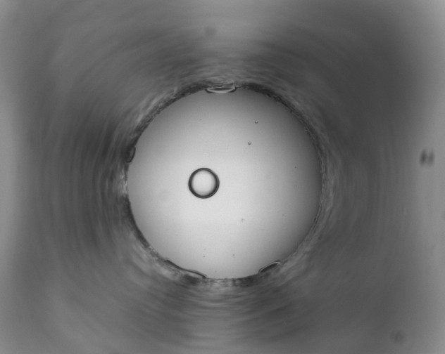 X0000111370384200907241251