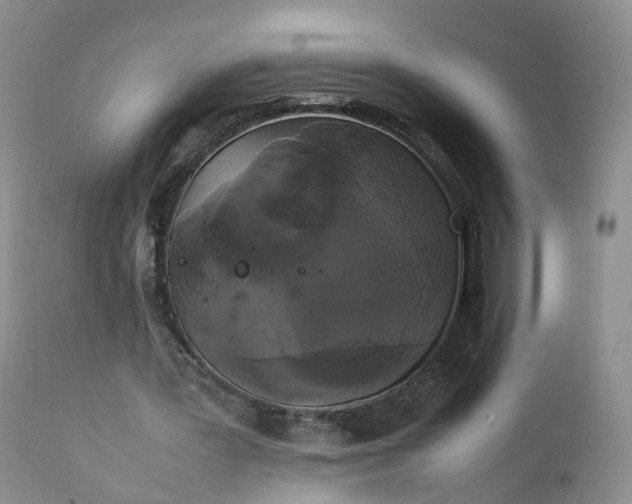 X0000111370387200907241251