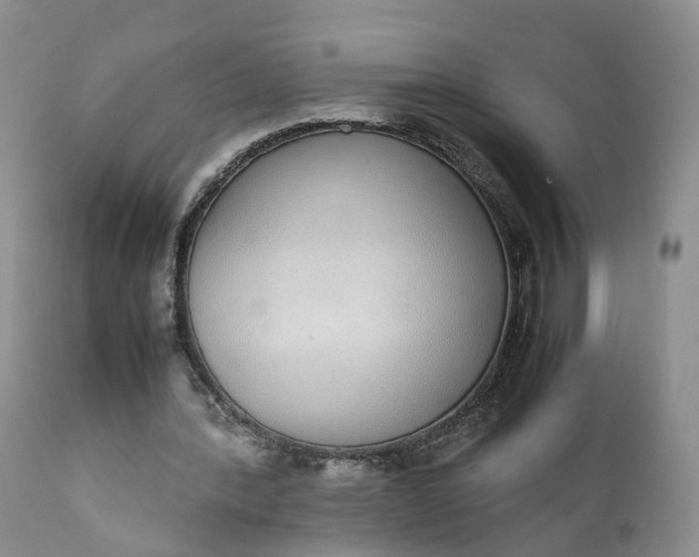 X0000111370388200907241251