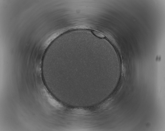 X0000111370389200907241251