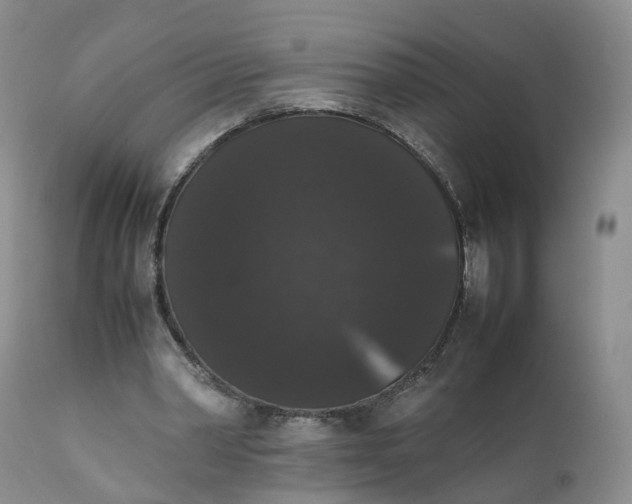 X0000111370390200907241251