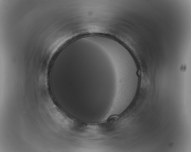 X0000111370391200907241251