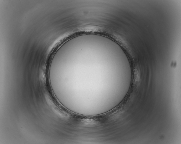 X0000111370392200907241251