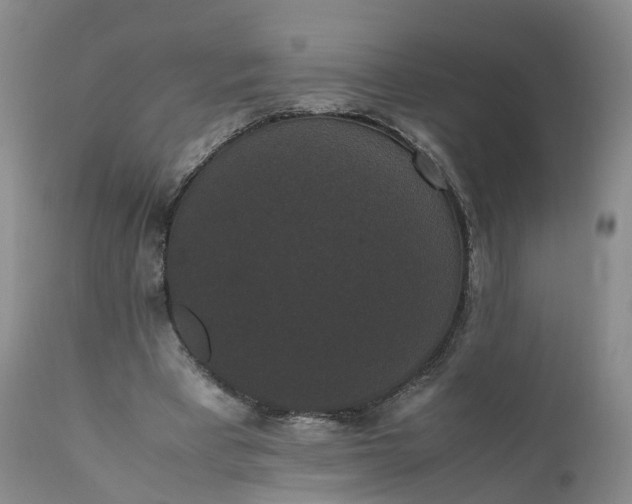 X0000111370393200907241251