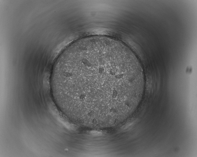 X0000111370394200907241251