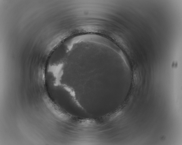 X0000111370398200907241251