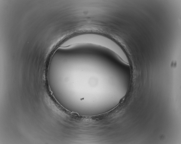 X0000111370399200907241251