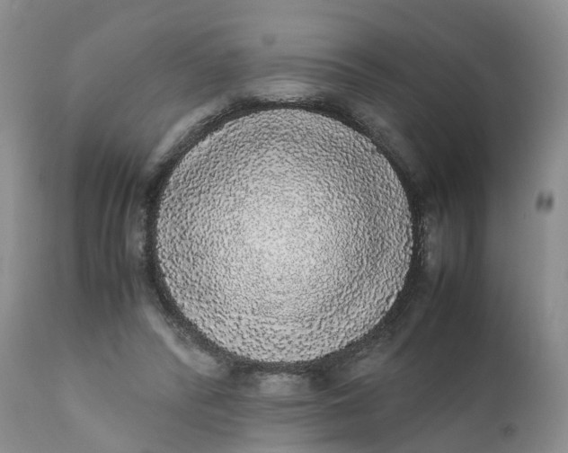 X0000111370400200907241251