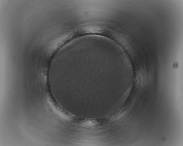 X0000111370402200907241250