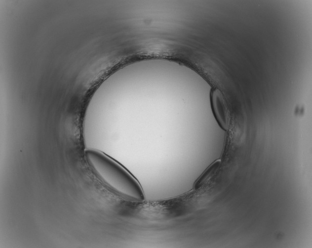 X0000111370403200907241250