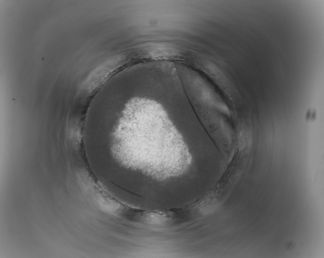 X0000111370405200907241250