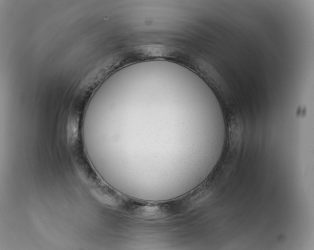 X0000111370406200907241250