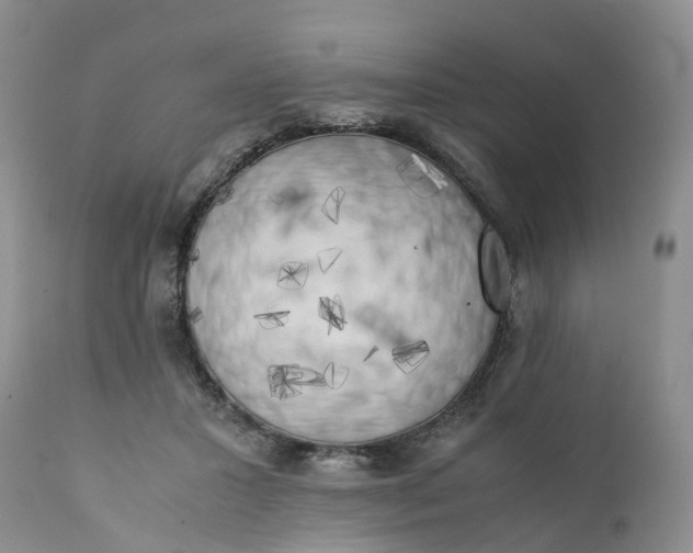 X0000111370407200907241250