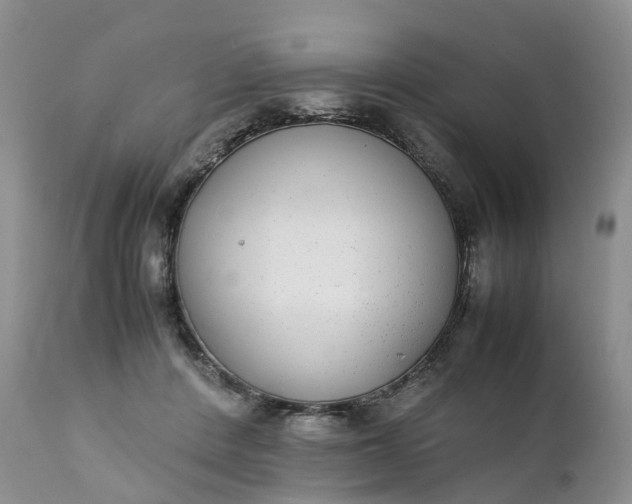 X0000111370408200907241250