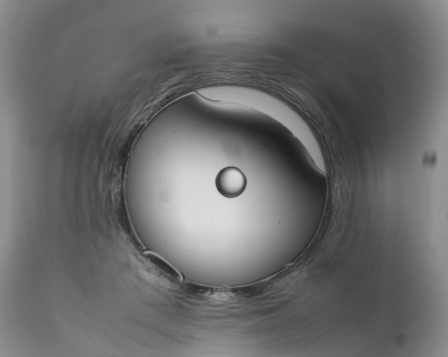 X0000111370409200907241250