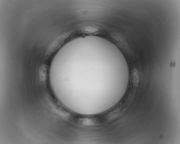 X0000111370412200907241250