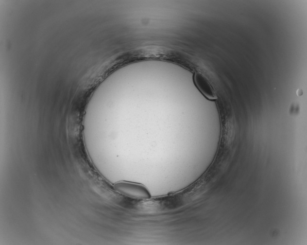 X0000111370413200907241250