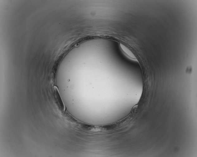 X0000111370415200907241250