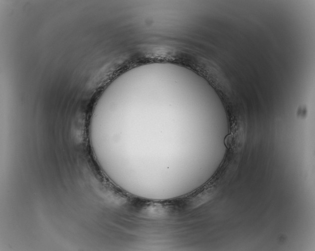 X0000111370416200907241250