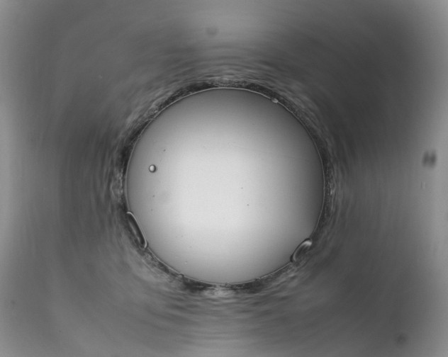 X0000111370419200907241250