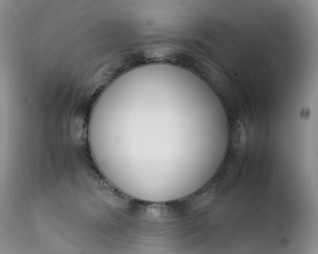 X0000111370420200907241250