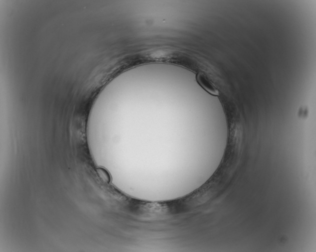 X0000111370421200907241250