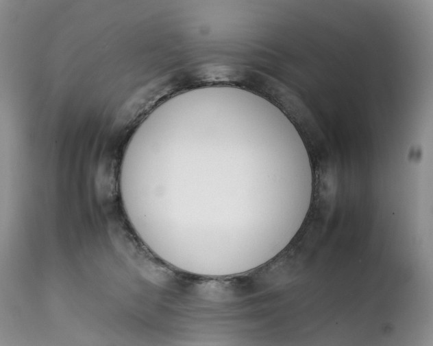 X0000111370422200907241250