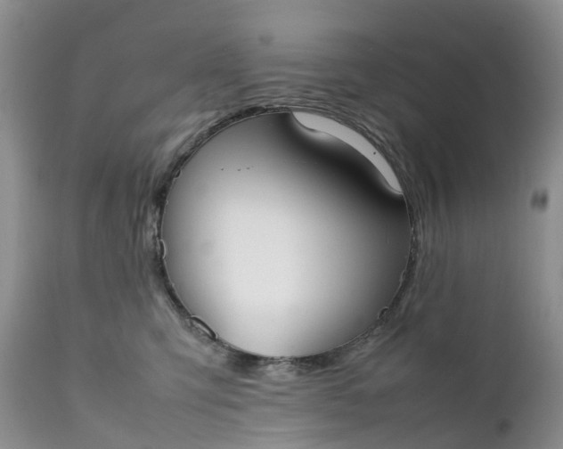 X0000111370423200907241250