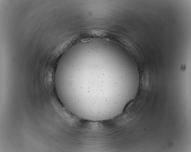 X0000111370424200907241250