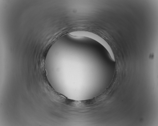 X0000111370425200907241250