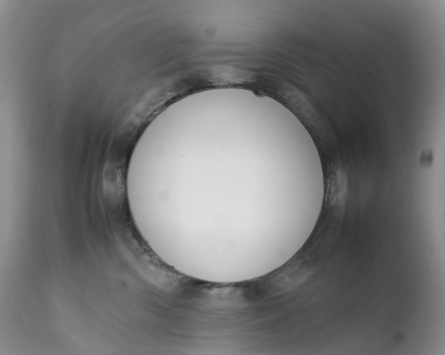 X0000111370426200907241250