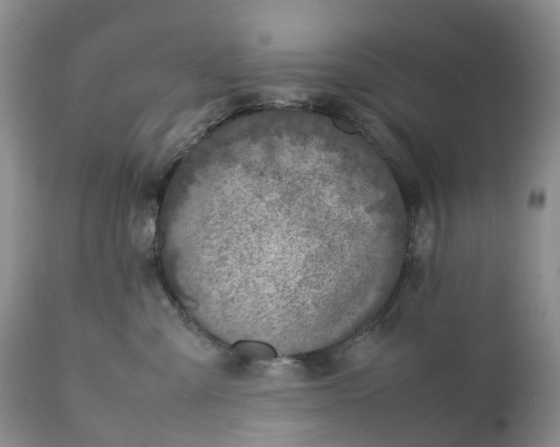 X0000111370427200907241250