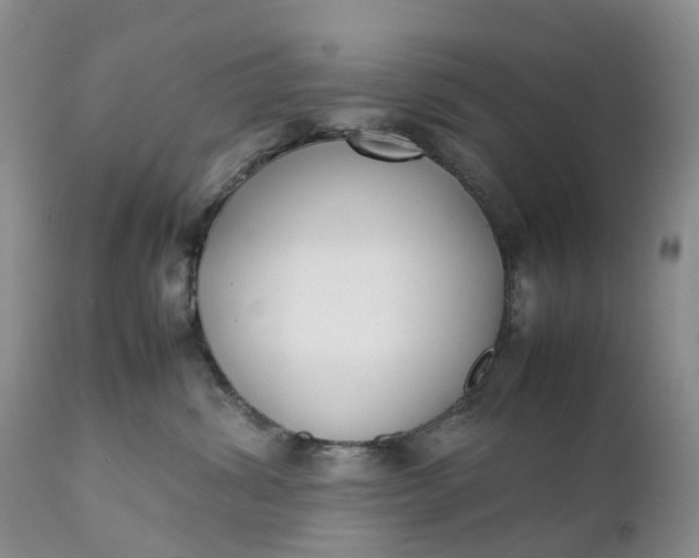 X0000111370428200907241250