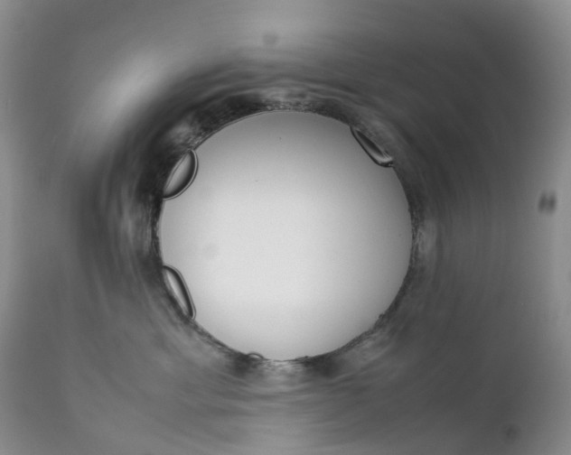 X0000111370429200907241250