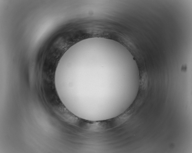 X0000111370430200907241250