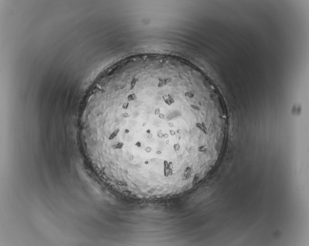 X0000111370434200907241249