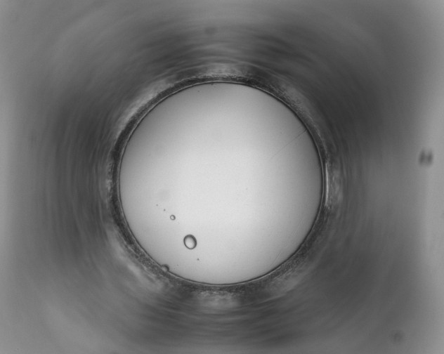 X0000111370435200907241249