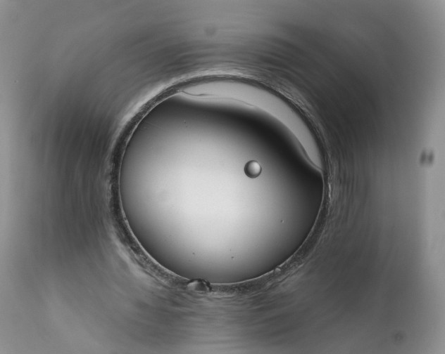 X0000111370436200907241249